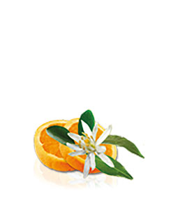 Flor de naranjo